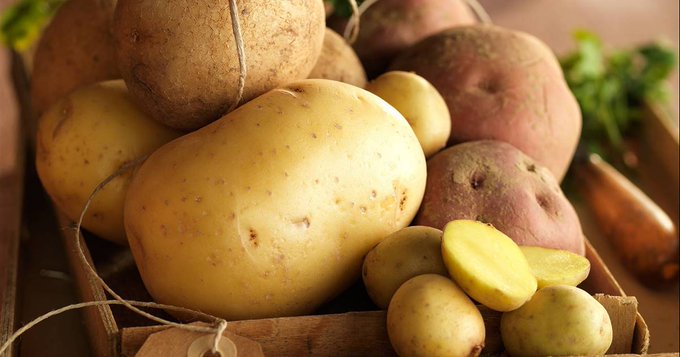 Patata: todas las propiedades y beneficios para la salud